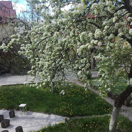 Квартира-Студия В Стиле Шале Truskavets Exterior foto