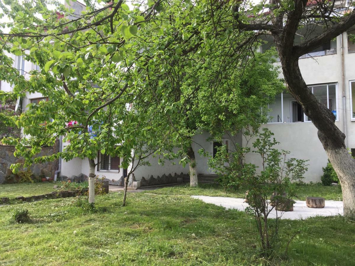 Квартира-Студия В Стиле Шале Truskavets Exterior foto